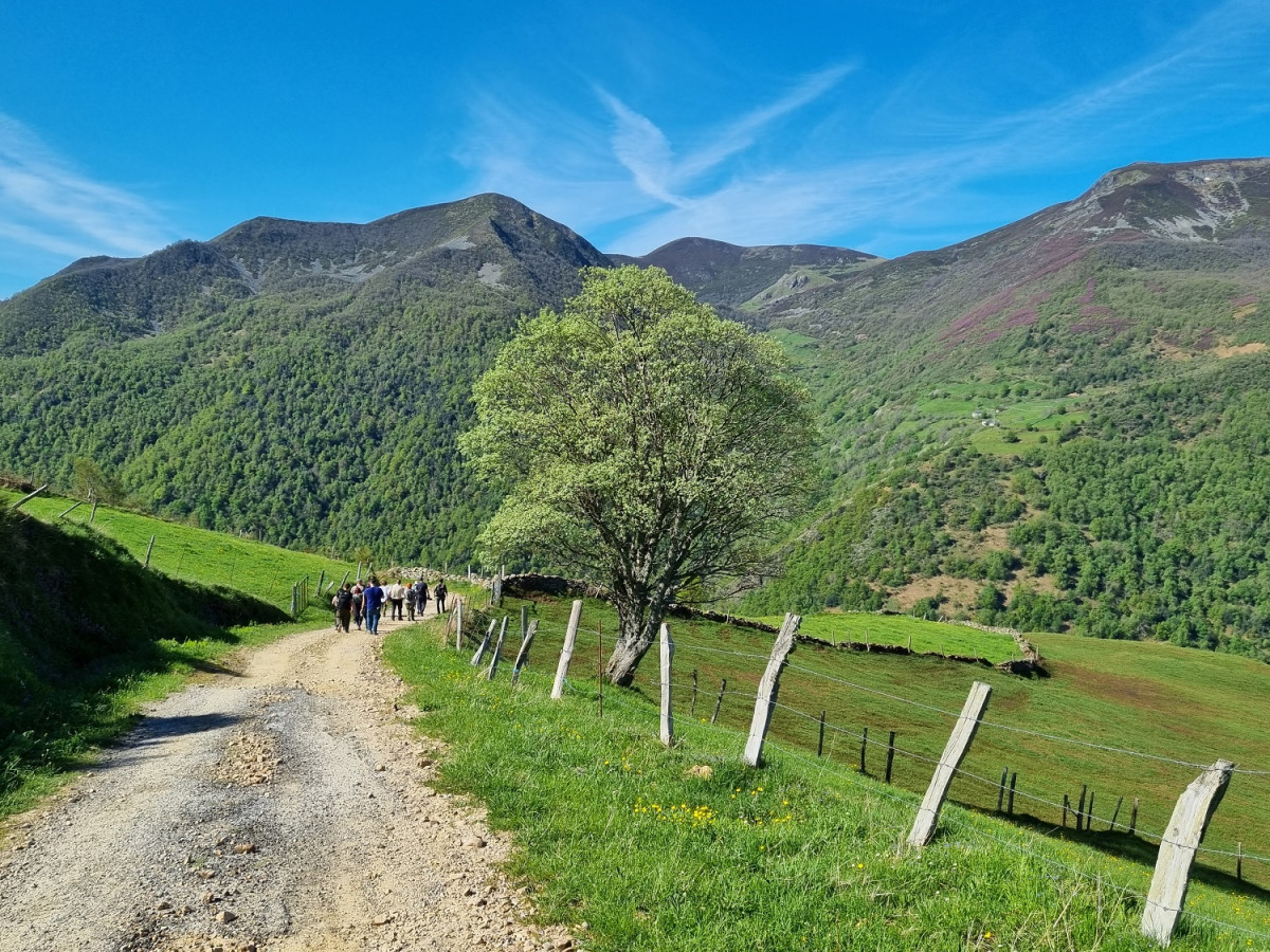 Parque Natural Fuentes del Narcea, Degau00f1a e Ibias