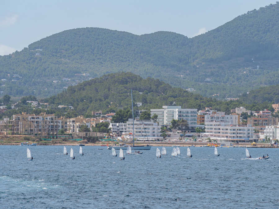 Sant Antoni y su Bahu00eda