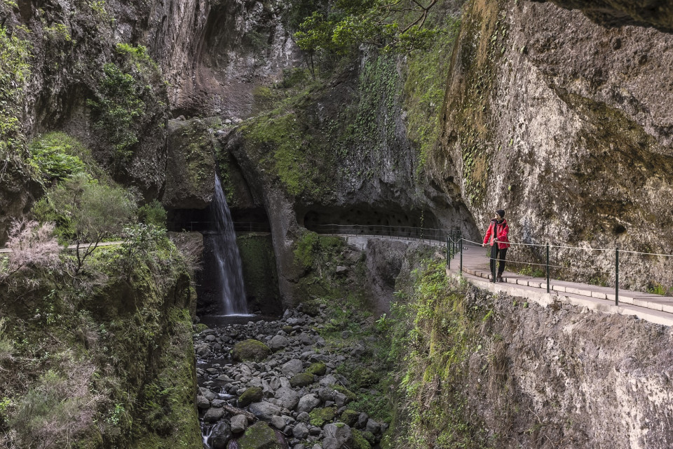 Madeira, Levada Nova da Pta do Sol, ©Francisco Correia