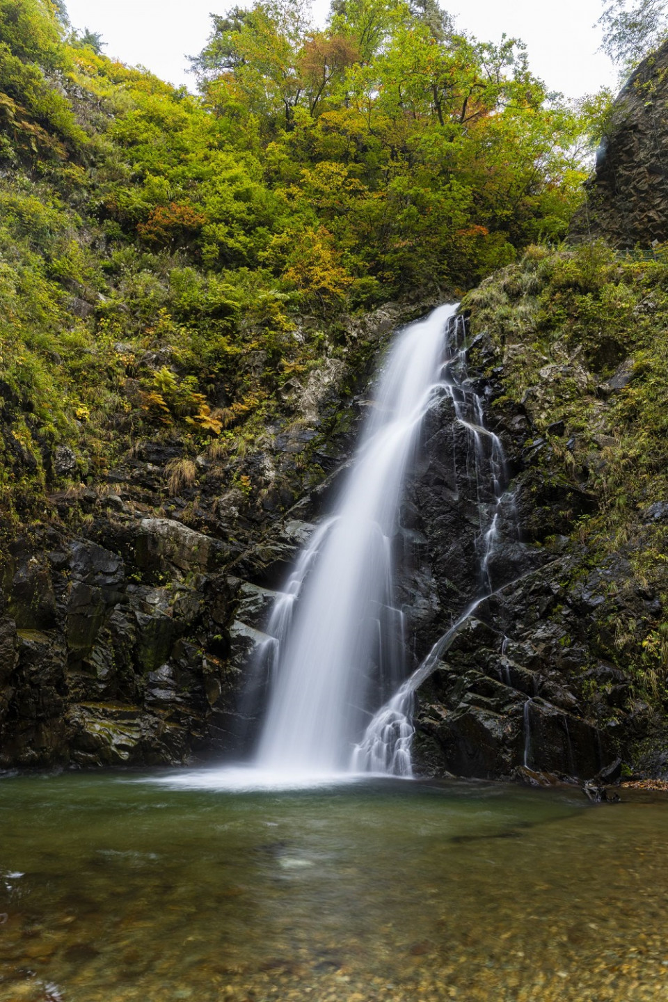 Shirakami mountains, Japon ©JNTO