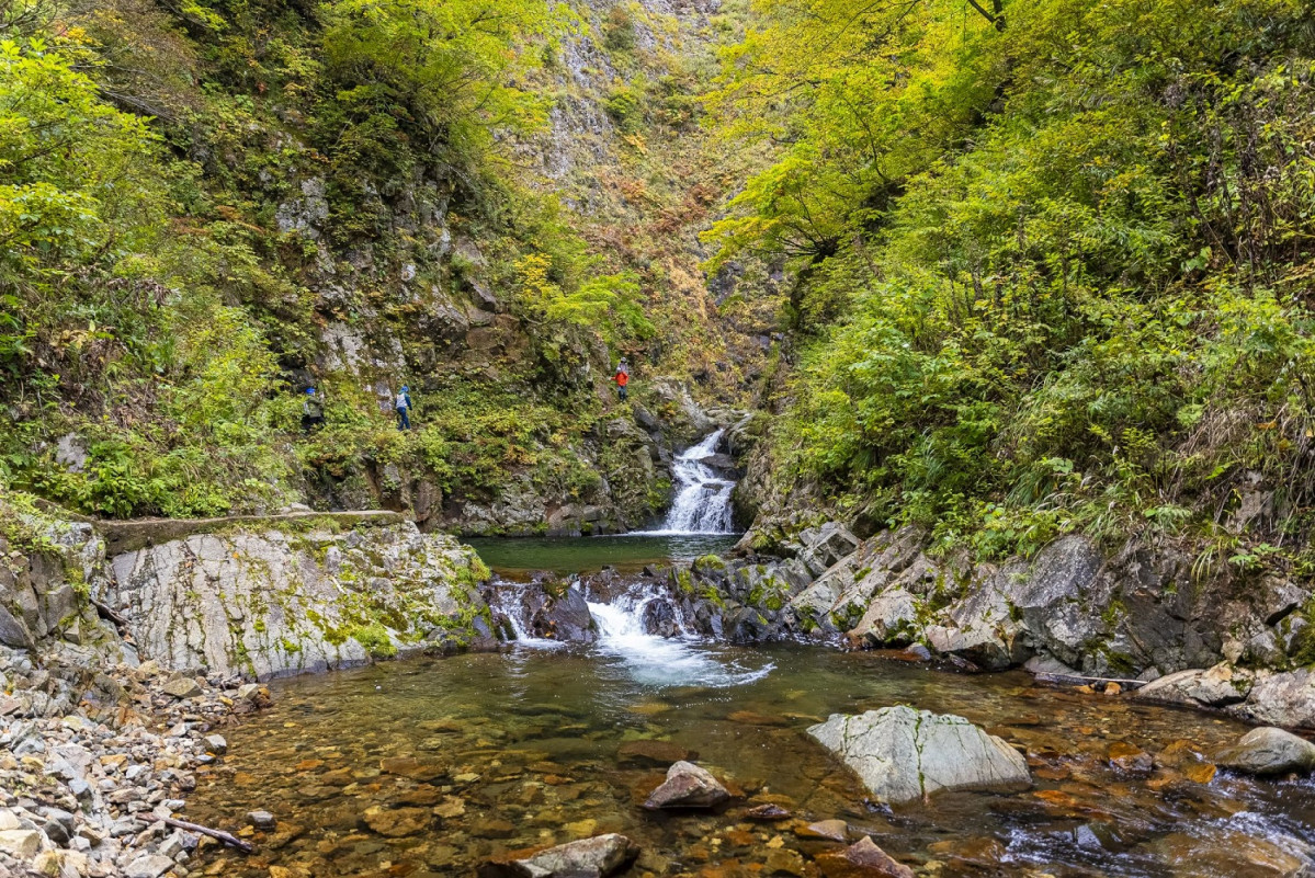 Shirakami mountains, en Japon u00a9JNTO