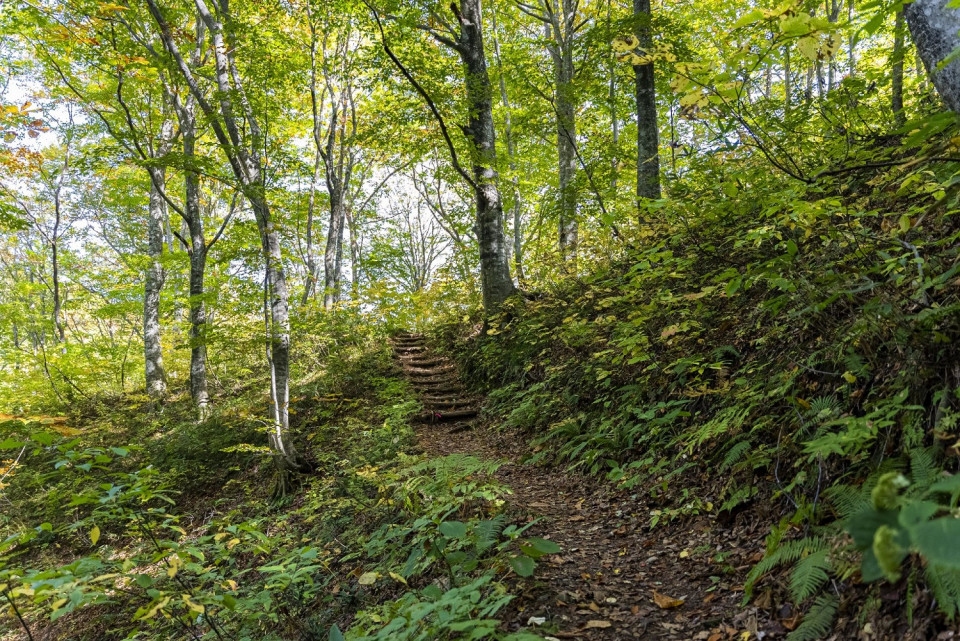 Shirakami mountains, ©JNTO