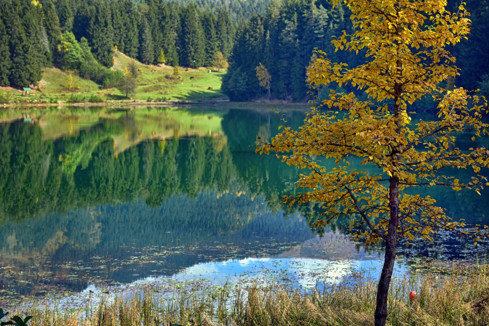 Artvin Şavşat, Mavigöl