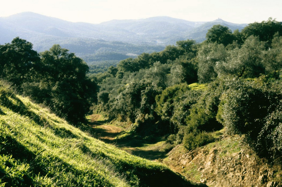 Sierra de Aracena, Huelva