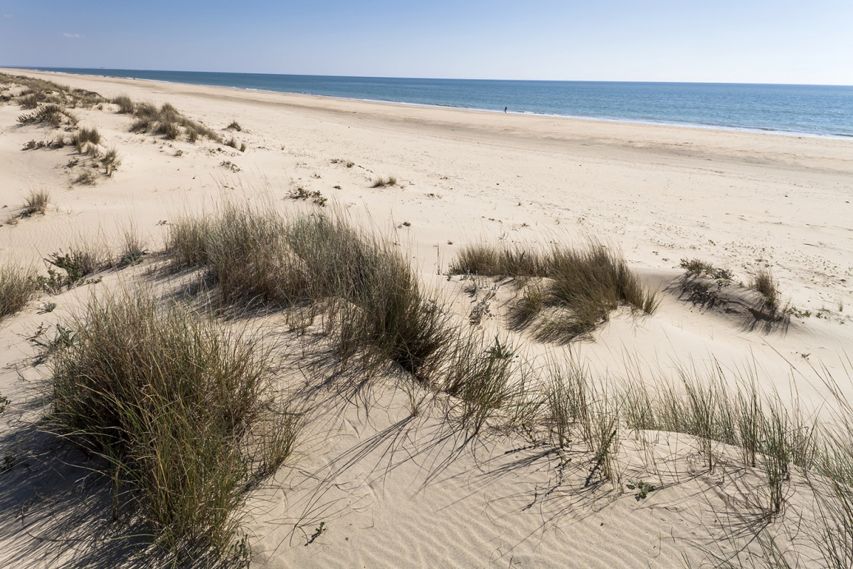 Playa La Antilla, Lepe ( Huelva)