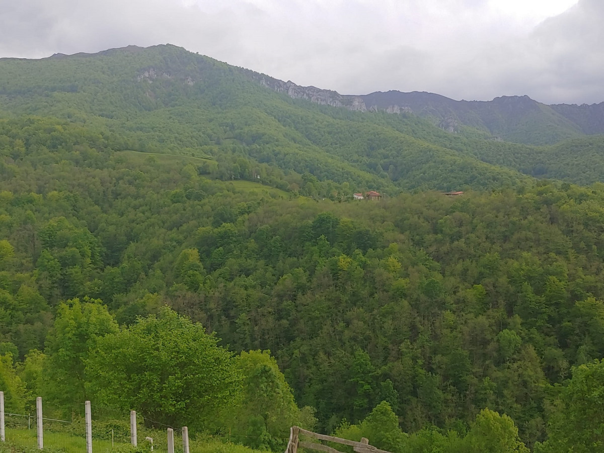 Paisaje de Redes, Asturias