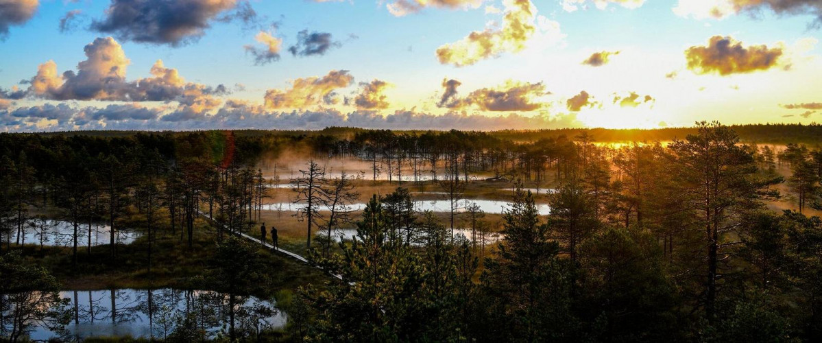 Viru bog sunrise visit estonia 
