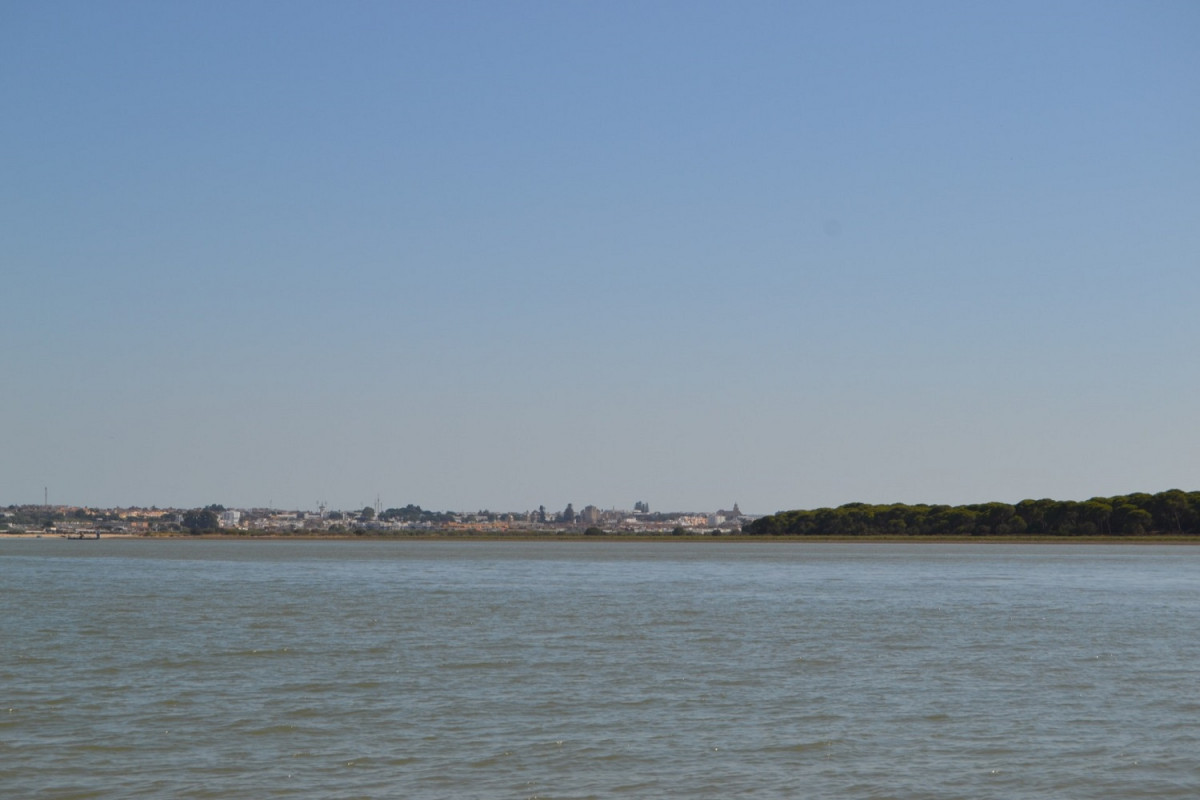 Desembocadura del Guadalquivir, al fondo Dou00f1ana