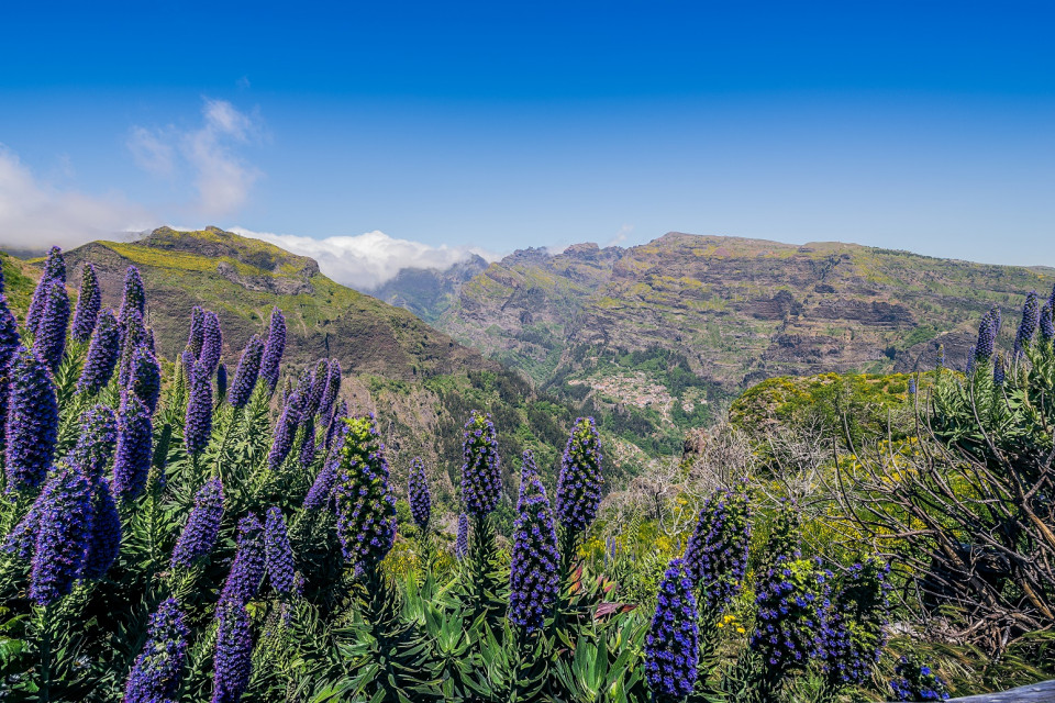 Camara de Lobos, Boca da Corrida, Madeira ©Francisco Correia