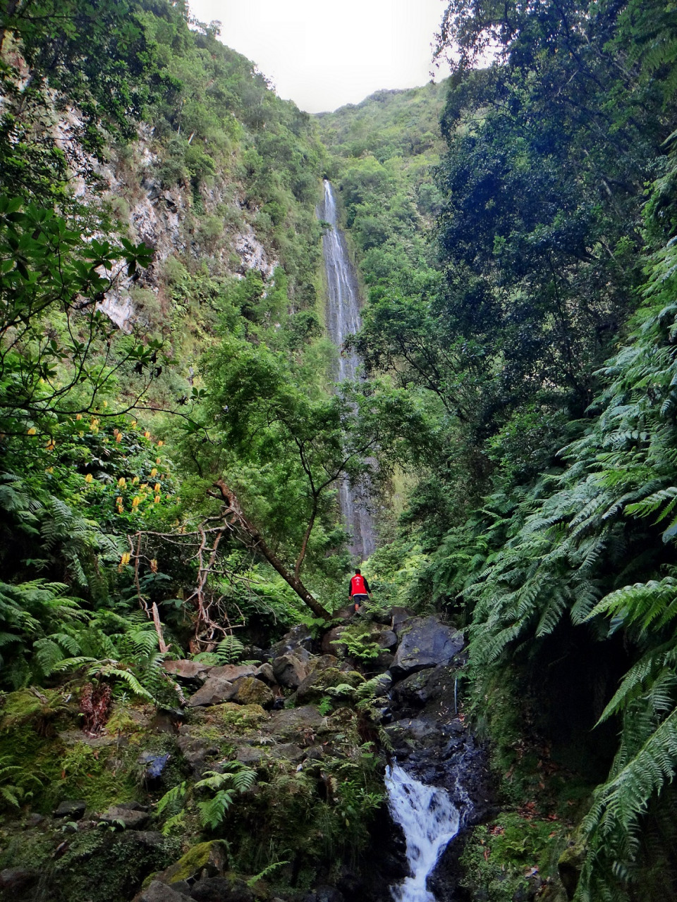 Cascada da Ribeira do Moinho, Madeira ©AnaFerreira