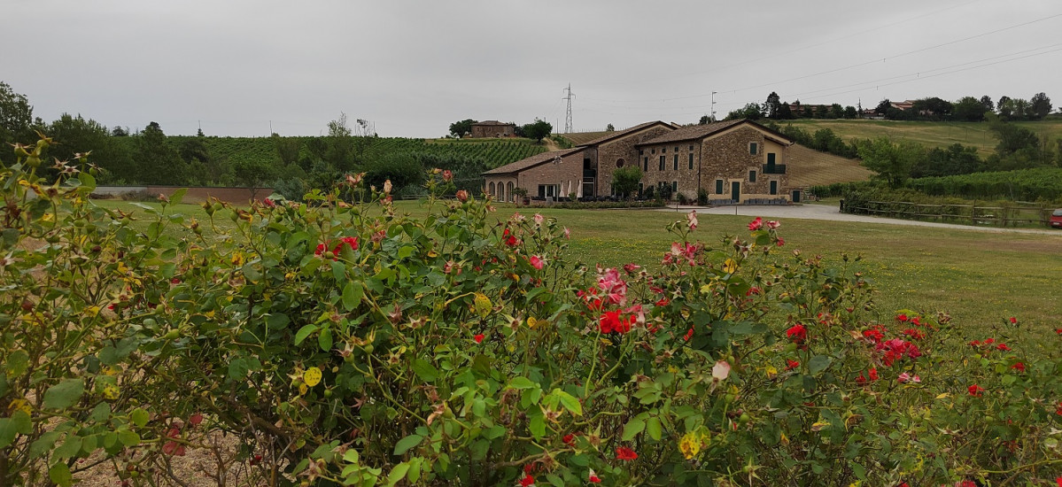 Monte delle Vigne, Modena