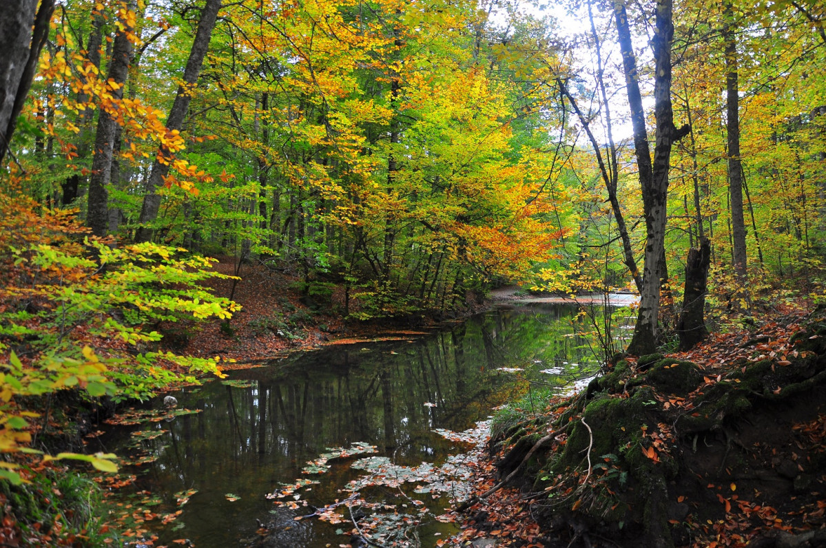 Parque Nacional de Bolu Yedigoller, Turquu00eda