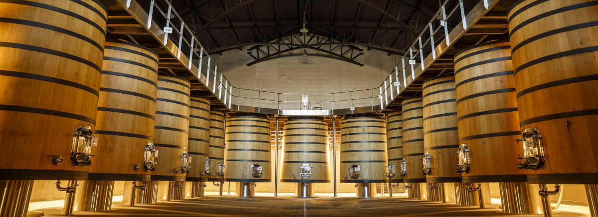 BODEGA NUEVA TINOS MARQUES DE MURRIETA