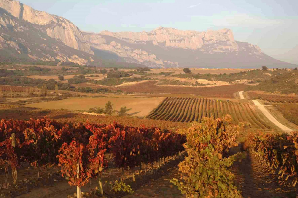 Paisaje ruta