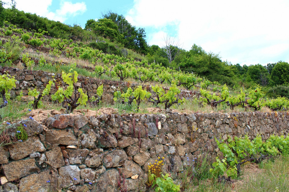 Sierra de Salamanca, Bancales