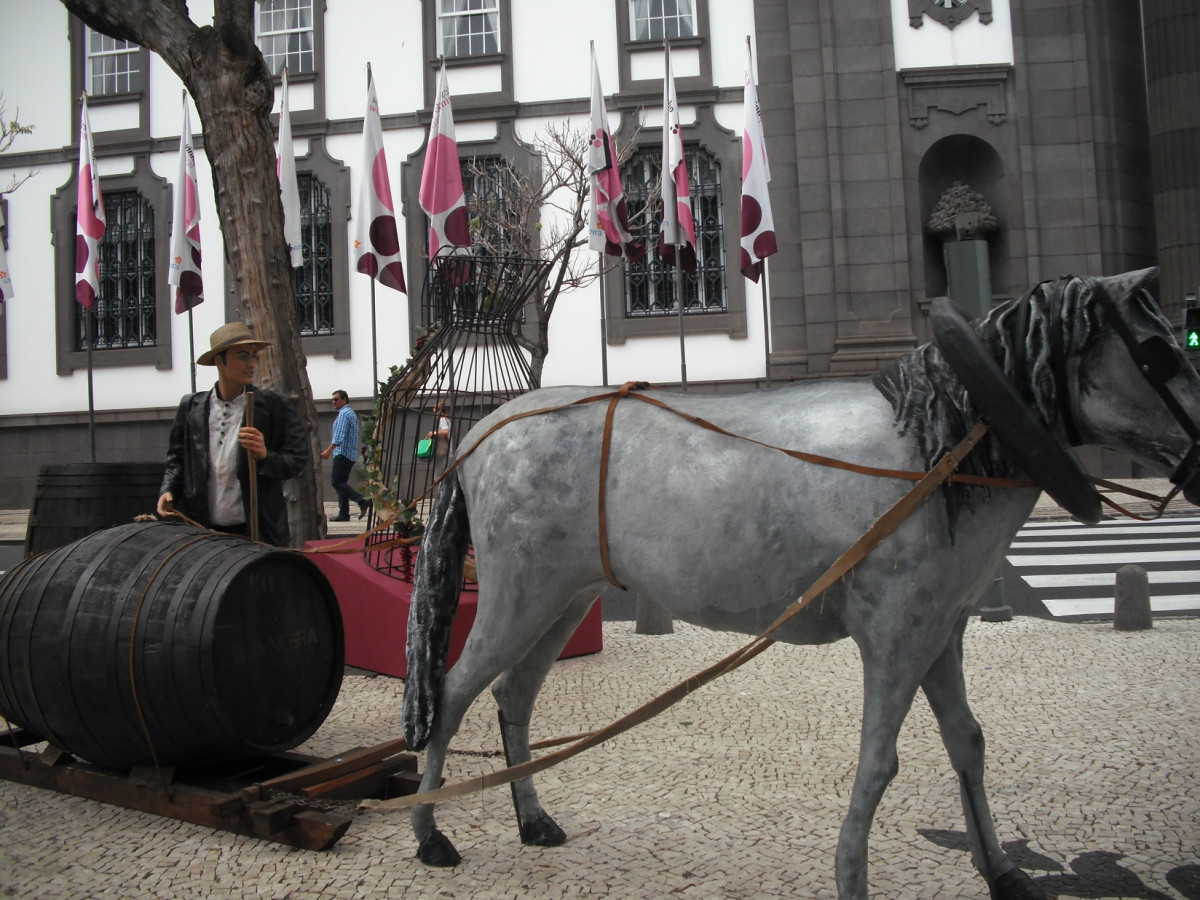 Madeira Festa do Viu00f1o 1648