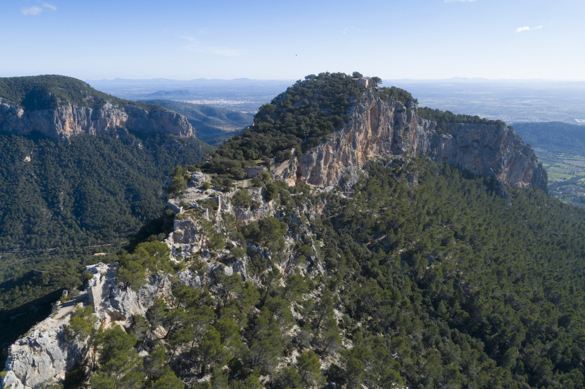 Castell alaro