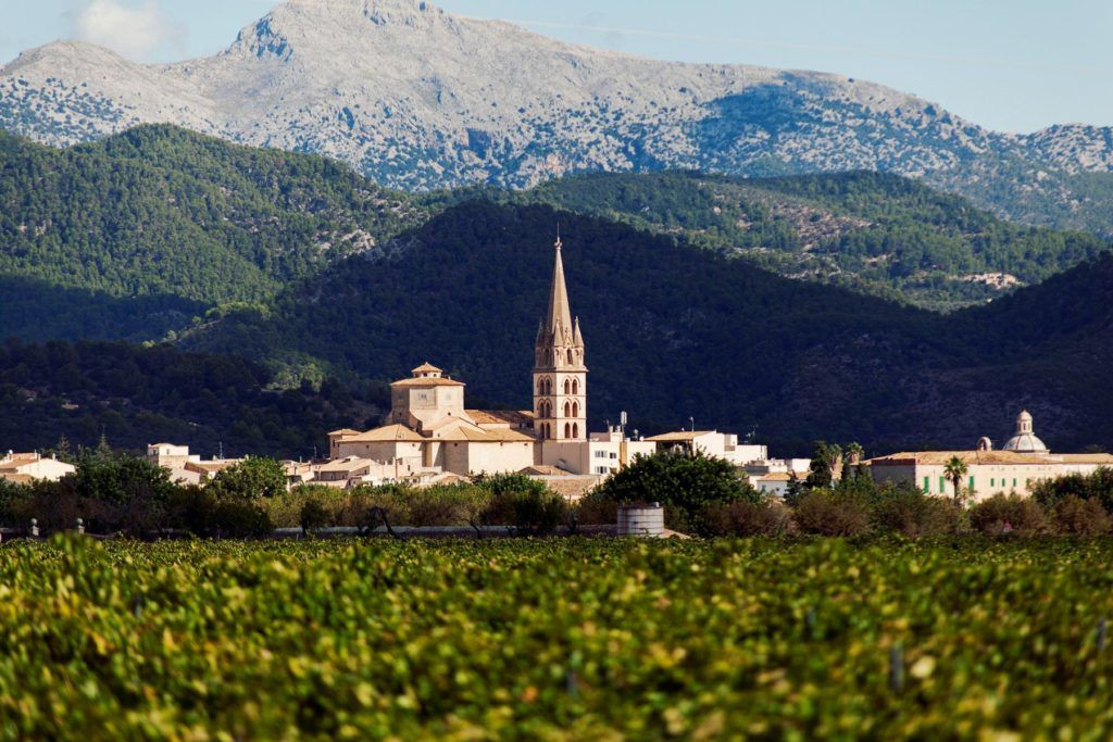 Enoturismo Binissalem Mallorca Torres