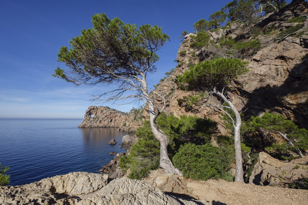 Sa foradada, Mallorca