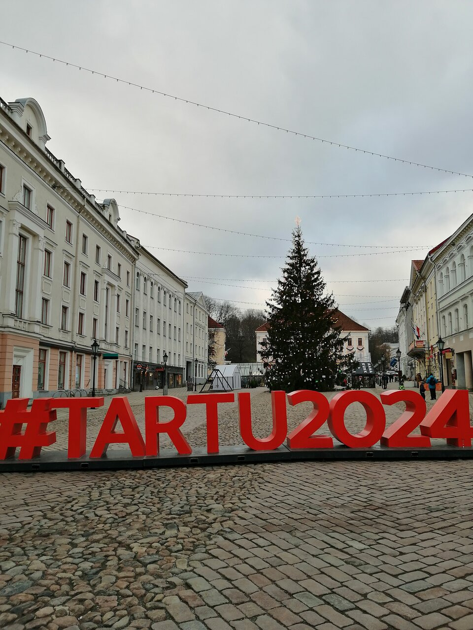 2024 (1)