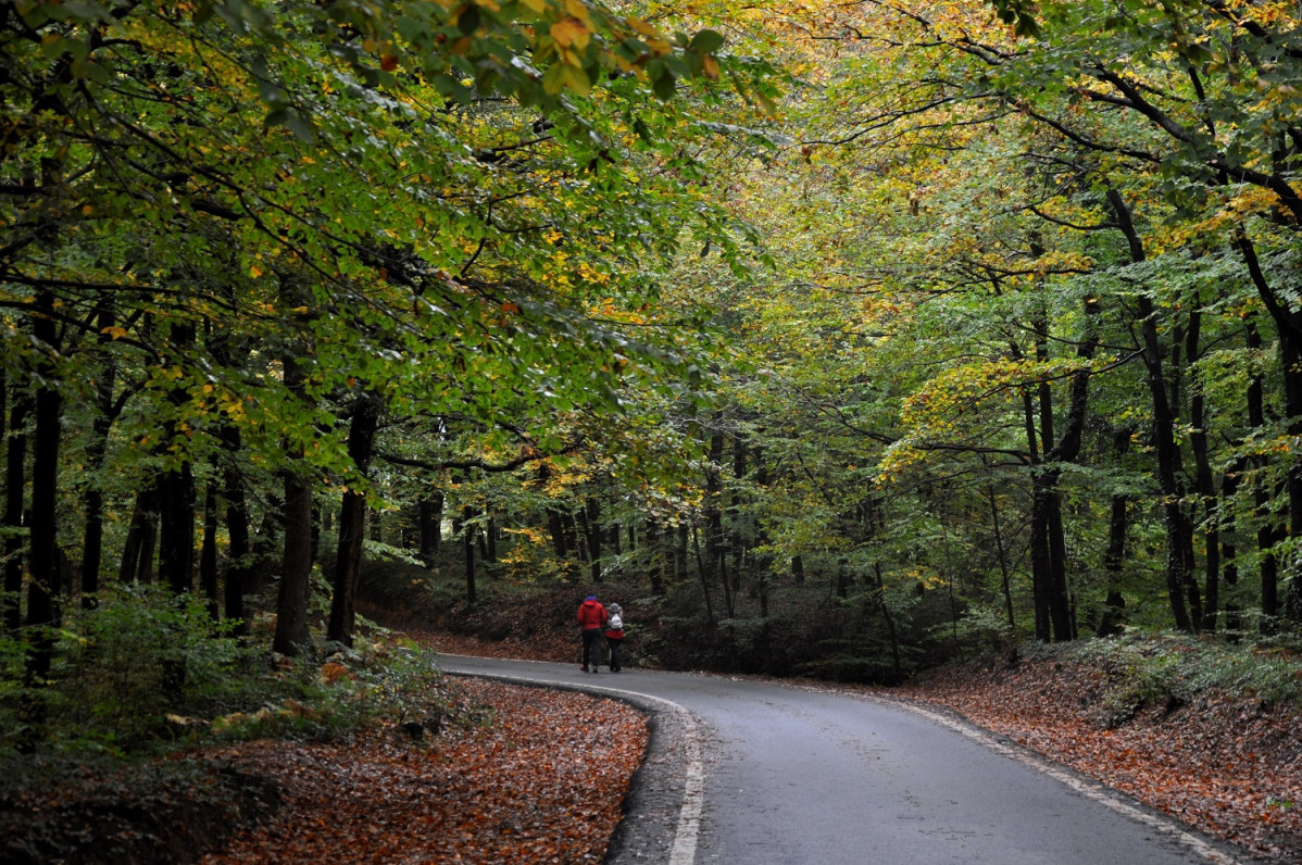 u0130stanbul Belgrad Forest 