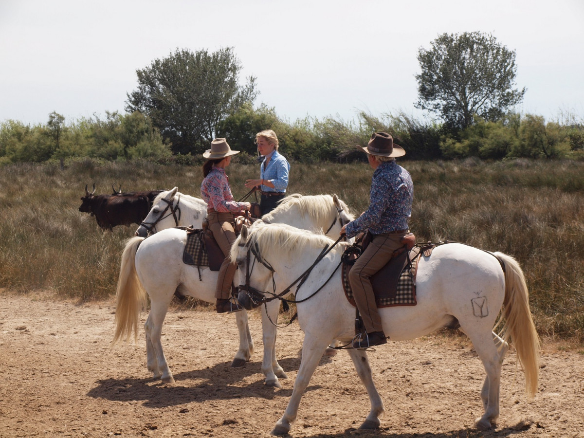 CABALLOS EN LA CAMARGUE