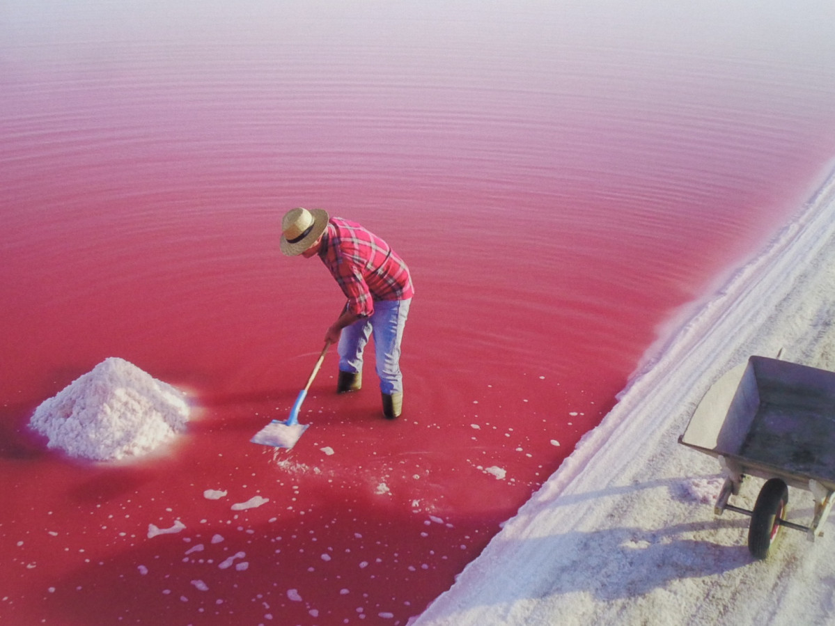 SAL ROJA DE CAMARGUE