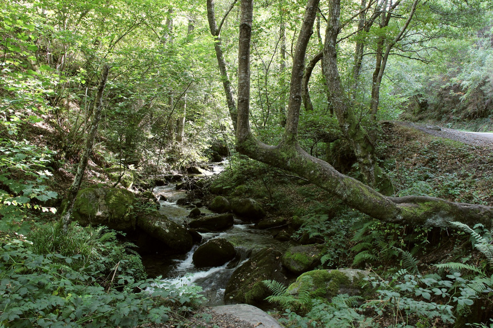 Valle del Silencio, Bierzo