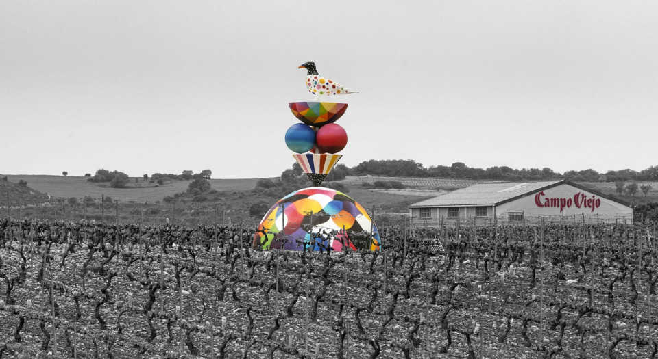 Campo Viejo, Viñedos y paisaje en invierno