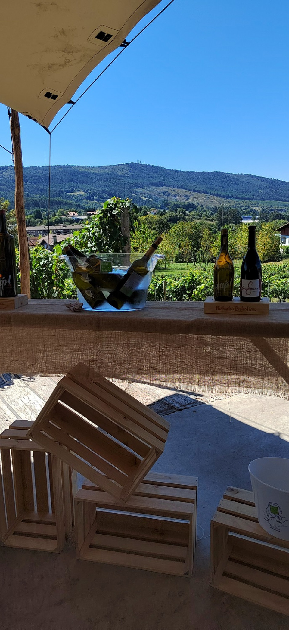 Vistas desde la Bodega Magalarte  Lezama