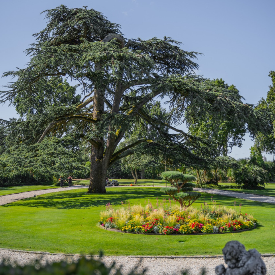 Jardines del Chateau Pape Clement