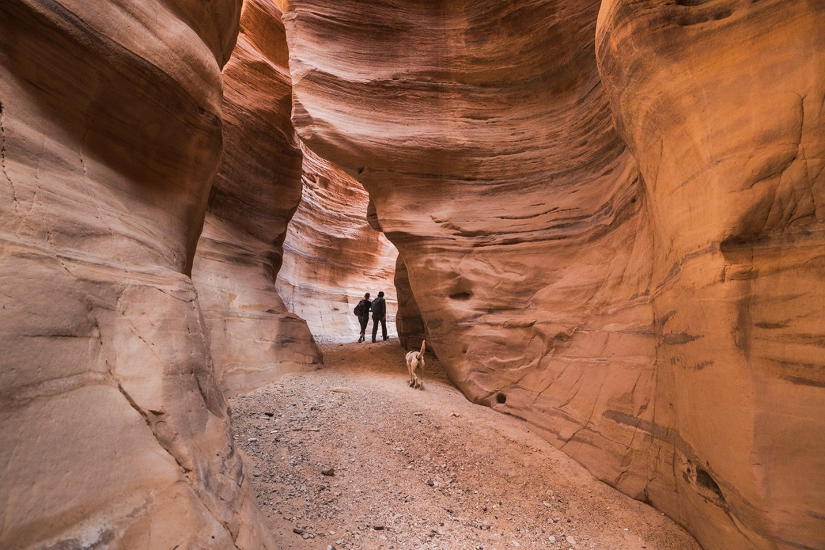 Jordan Trail Thru Hike 2018 Wadi Aheimar to Abbasiya