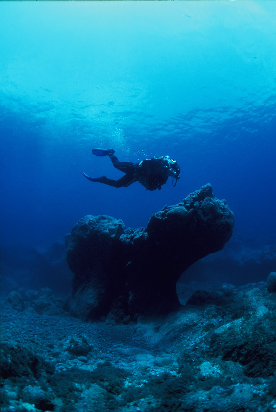 Buceo, en Madeira©VisitMadeira