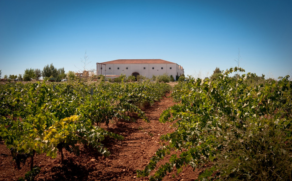 Bodegas Medina, Ruta del Vino y Cava del Guadiana