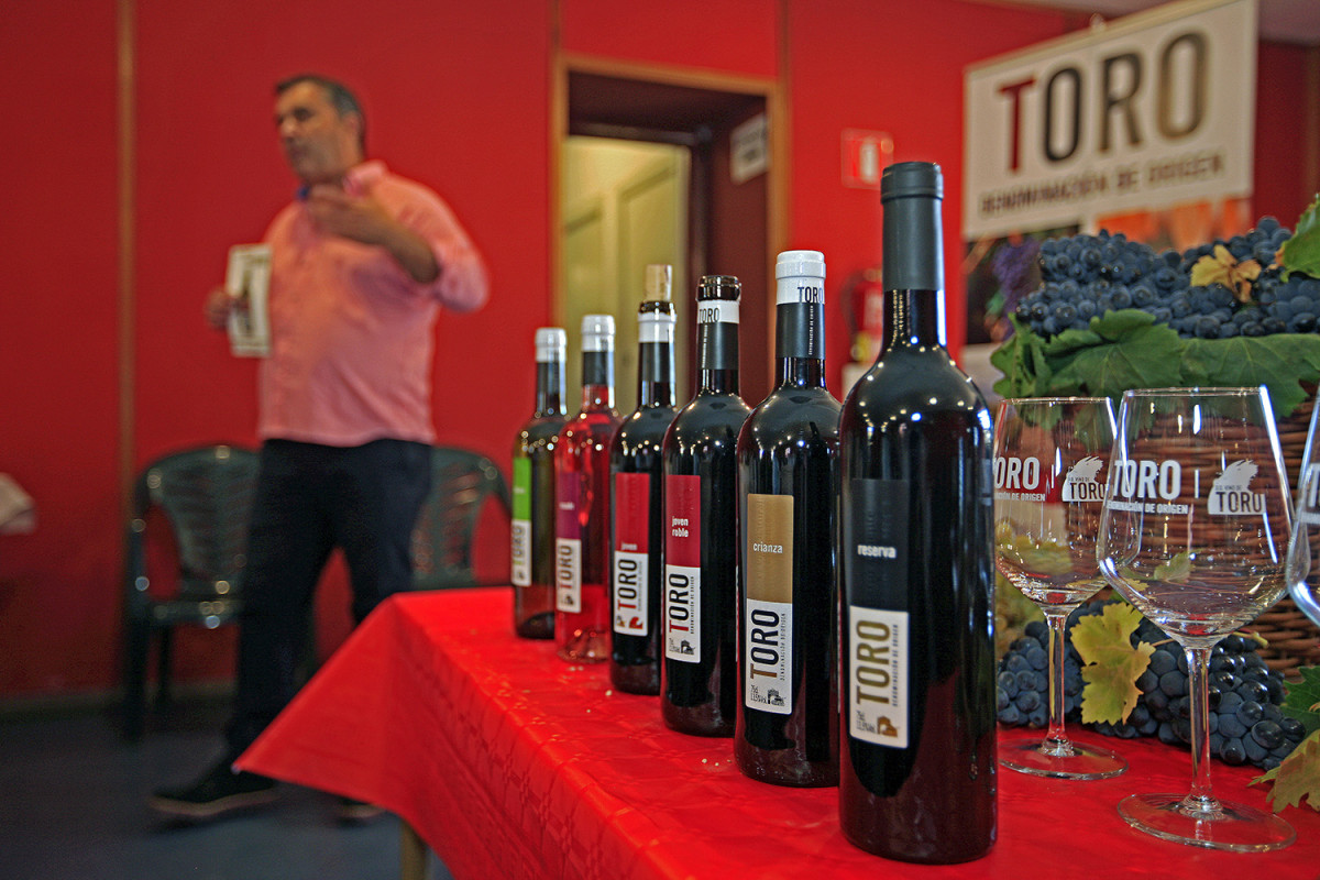 Fiesta de la Vendimia02