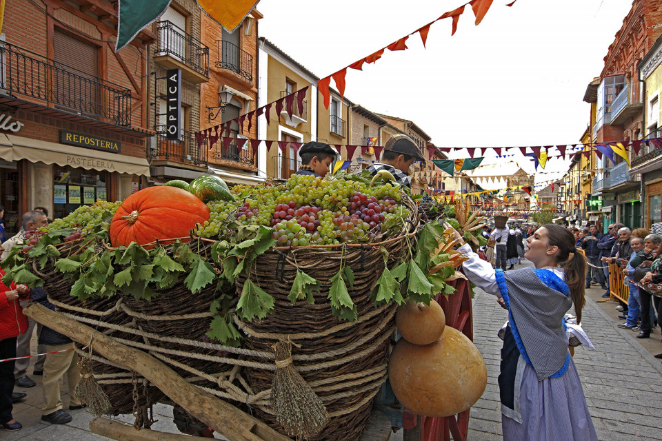 Fiesta de la Vendimia10