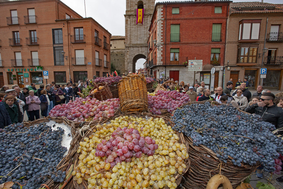 Fiesta de la Vendimia12