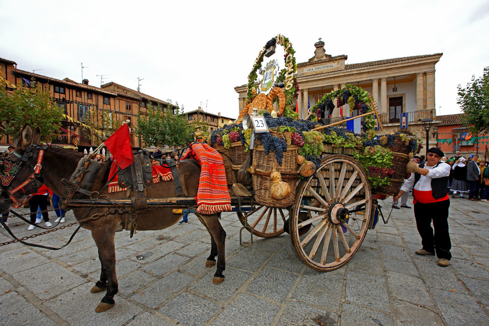 Fiesta de la Vendimia17