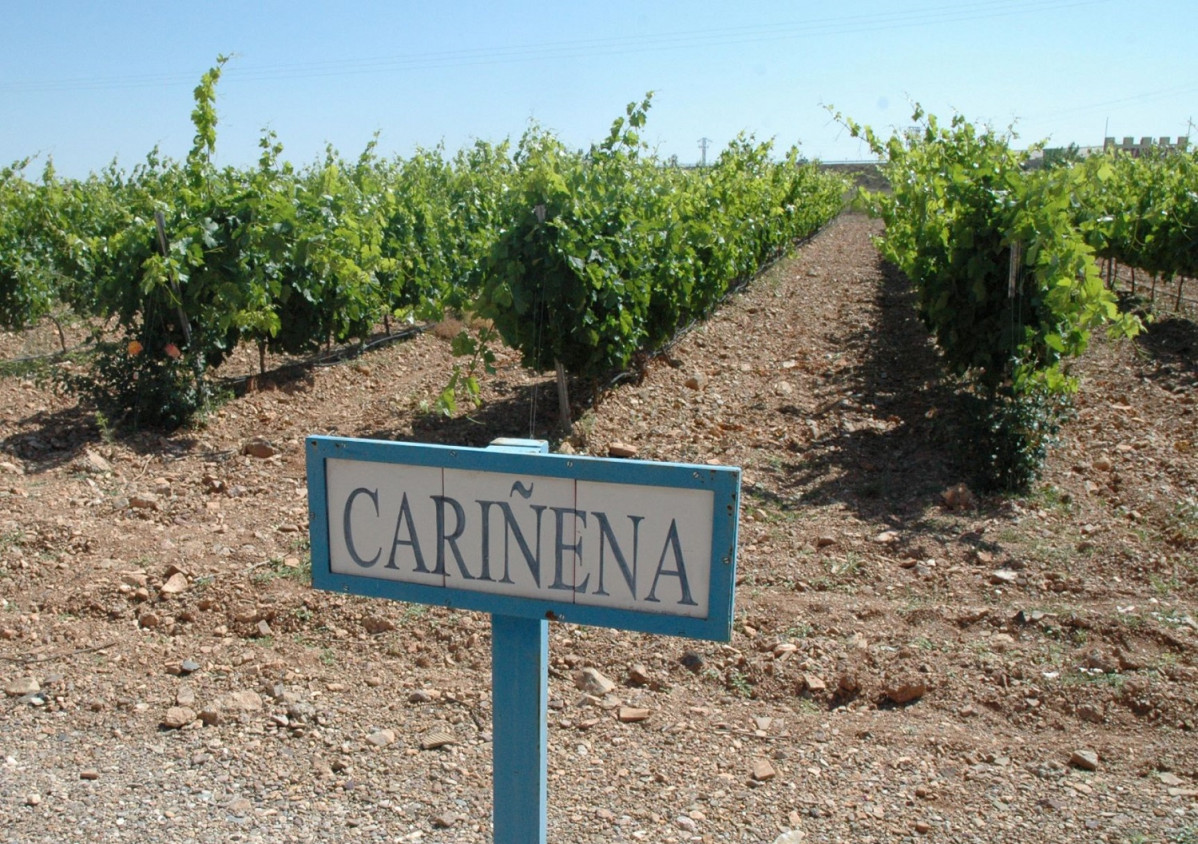 Vinos de las Piedras Viu00f1edos Cariu00f1ena
