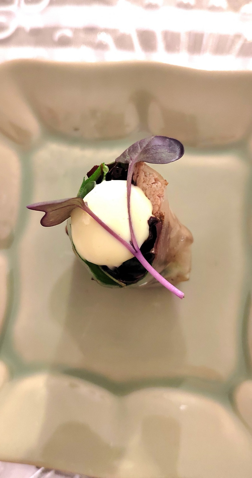 Spring Roll de conejo de monte