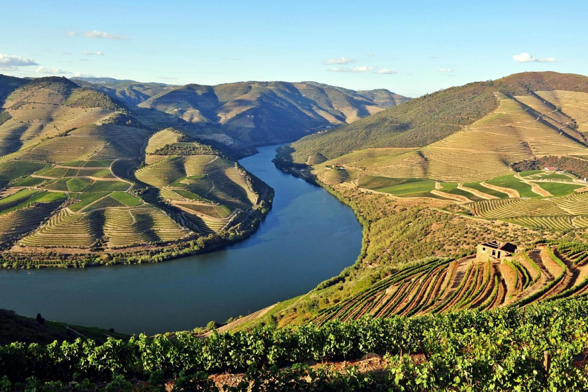 Portugal Favaios is a vineyard village in the municipality of Aliju00f3 1500