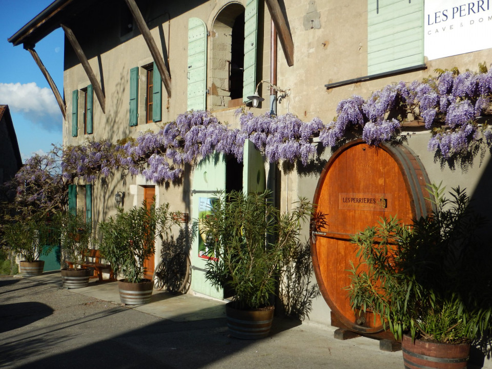 Bodega Domaine des Roches, Exterior