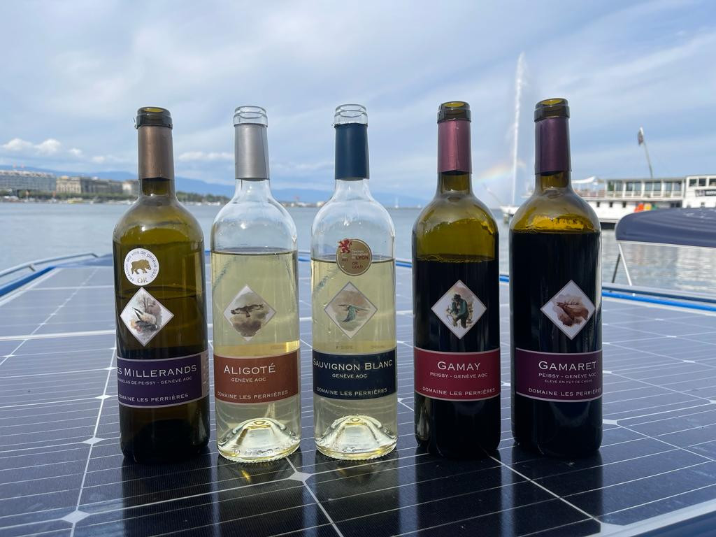 Vinos suizos con uvas chasselas, gamay y gamaret