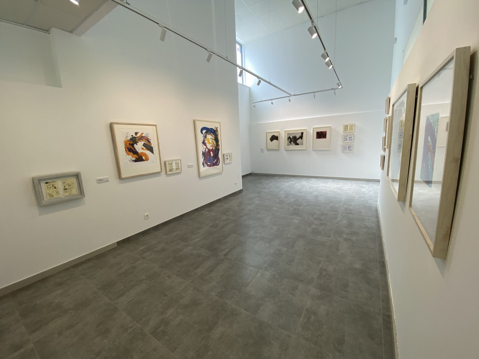 Sala de Exposiciones Miguel Delibes