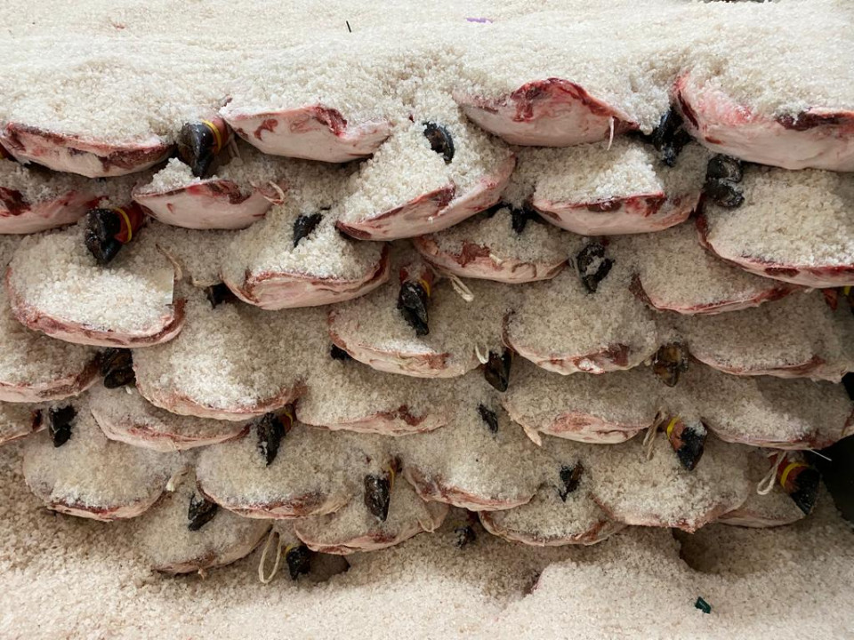 Salado en bodega, La Abadia Ibericos