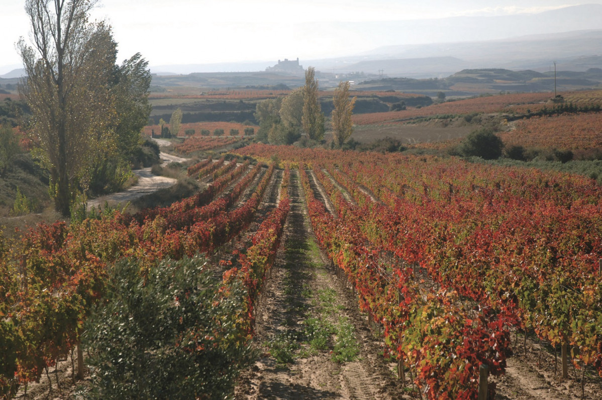 Rioja Alavesa paisaje