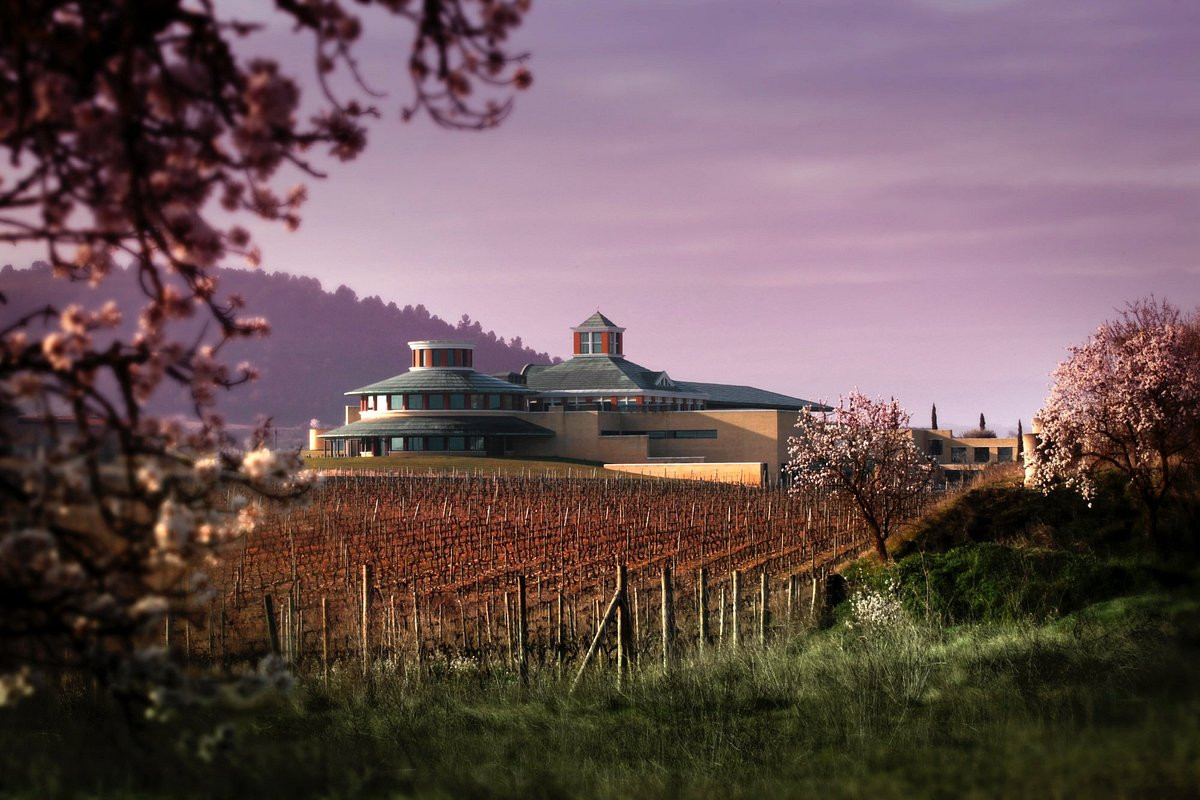 Vivanco cultura de vino