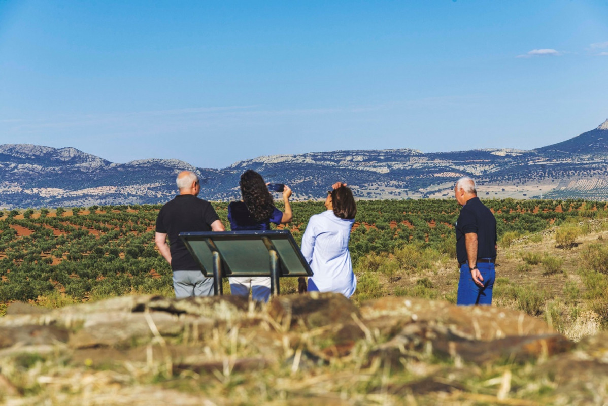 Ruta del Vino y el Cava del Gudiana, miradores