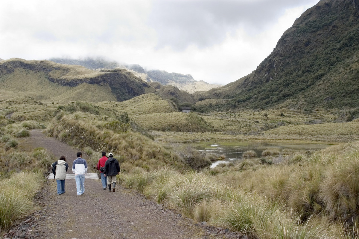 Naturaleza en quito 