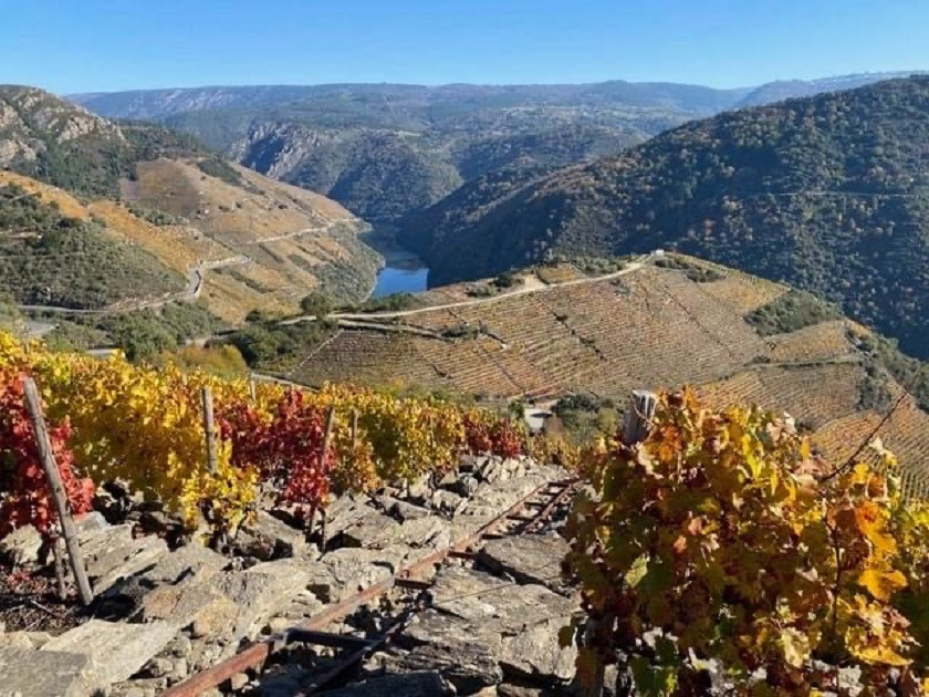Panoramica sobre la Ribeira Sacra, desde el Restaurante Vu00e9rtigo